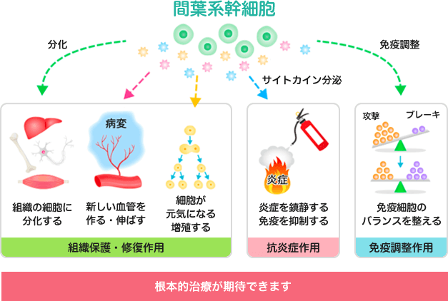 期待できる効果